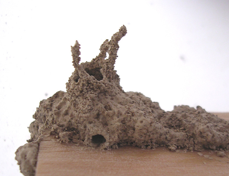 Architetture termitiche